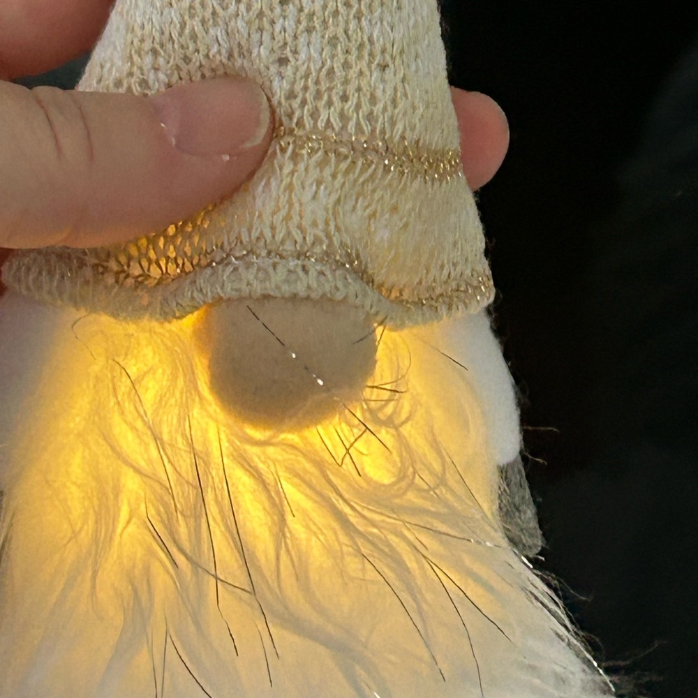 5/$25 Light up Christmas beige festive gnome decor